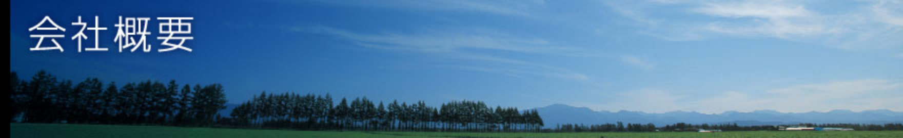 会社概要